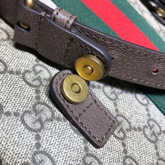 Hyper Peter GG medium Gucci backpack Ophidia 0715